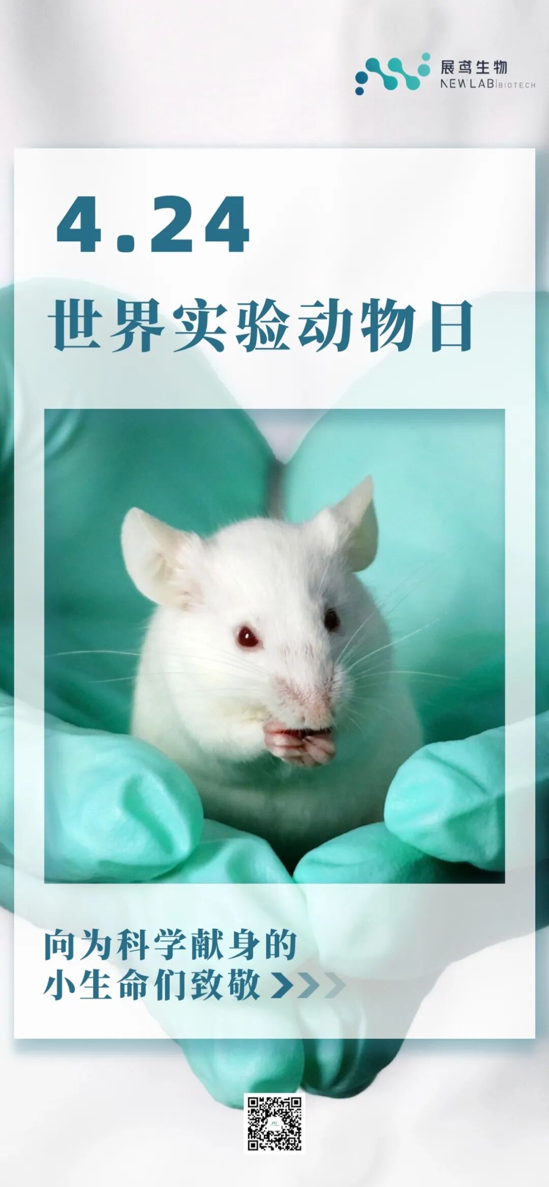 尊重生命，倡导人道关怀